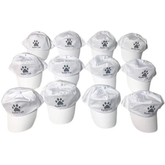 GORRAS: EJEMPLOS  de gorras personalizadas para nuestros clientes.